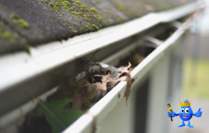 Picture of house gutters full of leaves. The Royal Plumbing mascot is in the corner of the picture